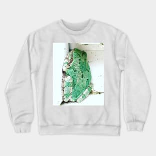 Sleeping Tree Frog Crewneck Sweatshirt